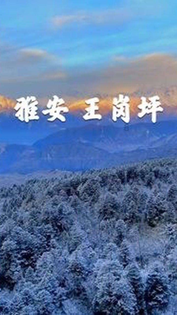甜食诱惑难挡?热门减糖食谱大揭秘!