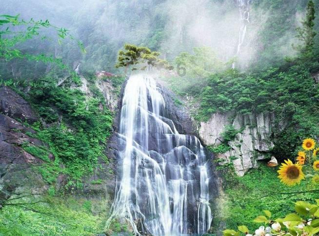 就业援助送岗位！吴忠市红寺堡区举办专场招聘会促重点群体就业